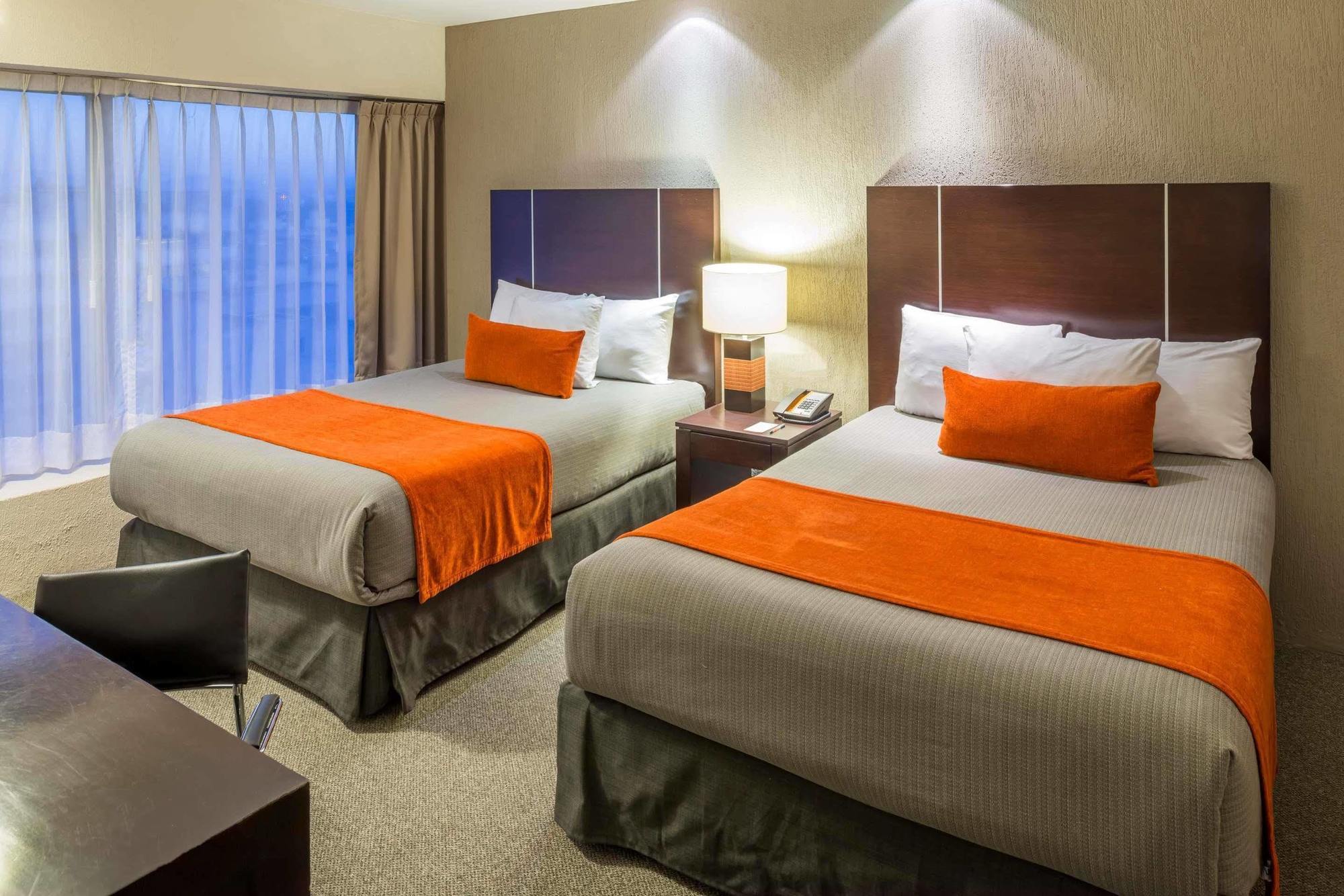 Hotel Plaza Genova Centro Guadalajara Eksteriør billede